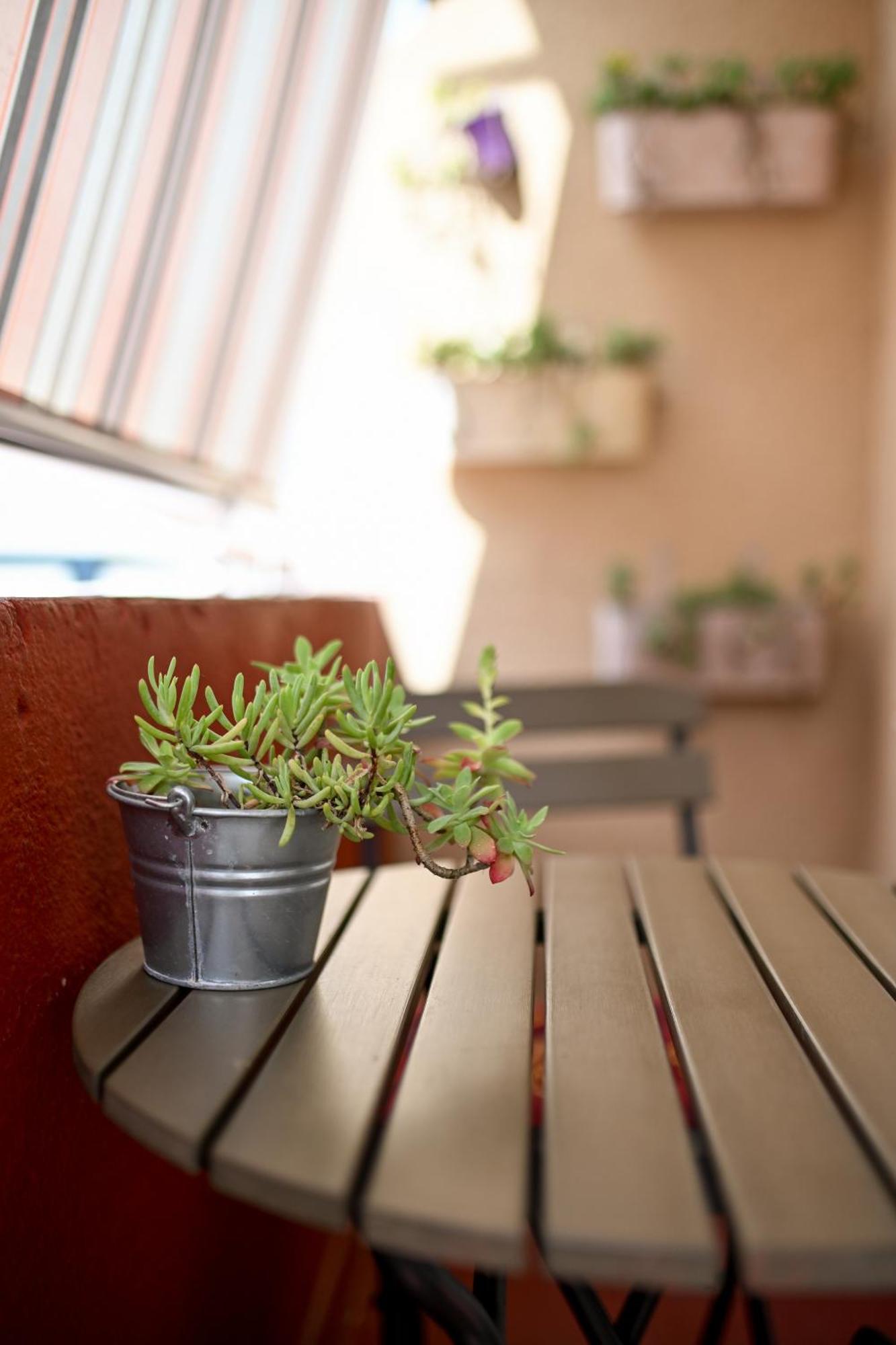 Near Zadar City Center Apartment With Free Parking And Air Condition In Each Room エクステリア 写真